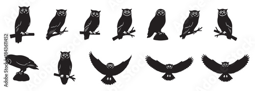 A collection of black owl silhouettes in various poses, including perching, standing, and flying, against a clean white background.