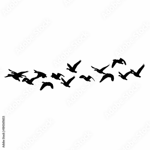 Silhouettes of a flock of birds flying in formation across a clear sky.