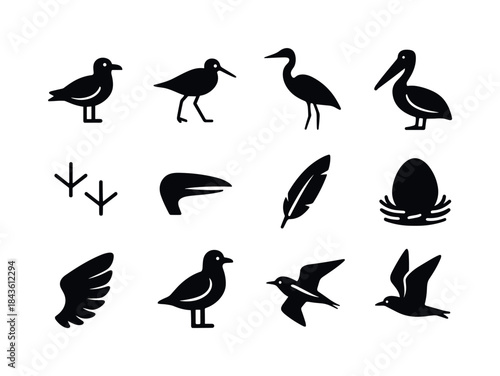 Shore Bird Icons. Shore birds. Solid icon set of shore birds: se