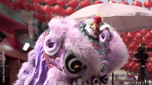 Chinese lion dance performing, Slow motion.