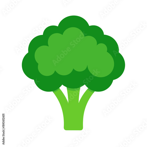 vector clip art broccoli on white background for web and graphic design