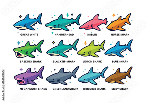 Colorful Shark Icons. Shark species. Colorful isometric vector i