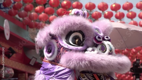 Chinese lion dance performing, Slow motion.