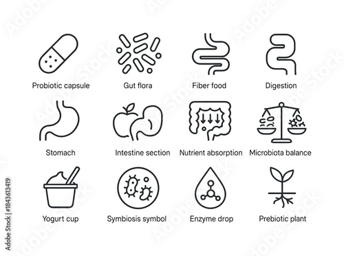 Gut Microbiome Icons. Human gut microbiome. Line icon set of hum