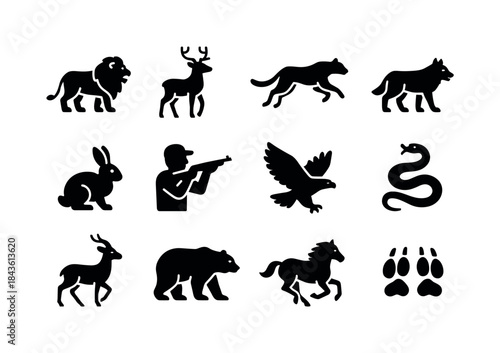 Wildlife Chasing Icons. Wildlife Chasing. Solid icon set of Wild