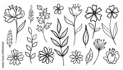 Flower doodle hand drawn line stroke Sketch hand drawn spring floral plant nature graphic leaf scribble grunge brush texture