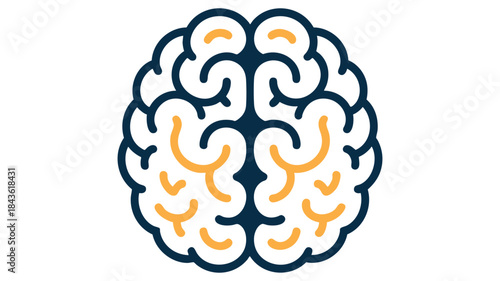 Illustration of a human brain
