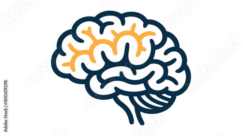 Illustration of a brain