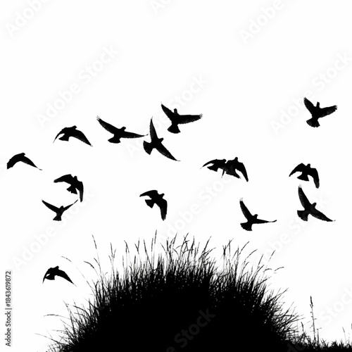A flock of birds takes flight from a grassy hill.