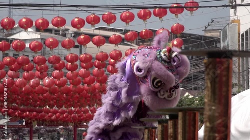 Chinese lion dance performing, Slow motion.