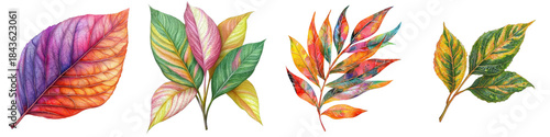 Vibrant watercolor leaf plant with intricate details, showcasing variety of colors and shapes, evokes sense of natural beauty and creativity