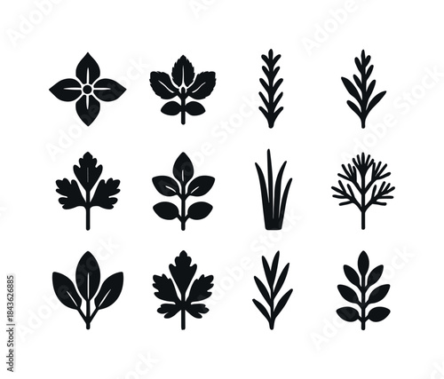 Herb Icons Grid. Herb plant icons. Solid icon set of Herb plant