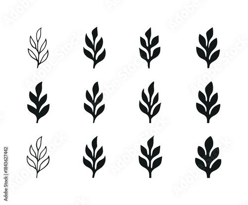 Marine Icon Collection. Marine life near the shore (rocky tide p