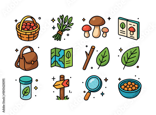 Colorful Foraging Icons. Foraging. Colorful isometric vector ico