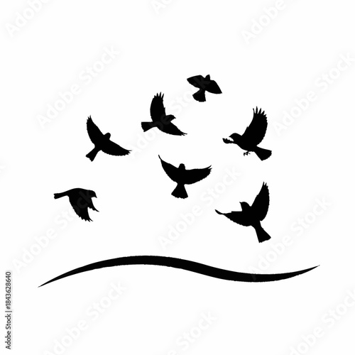 Flock of birds flying in a graceful silhouette above a curved line.