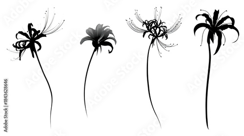 Silhouette vector design for black vinyl stickers