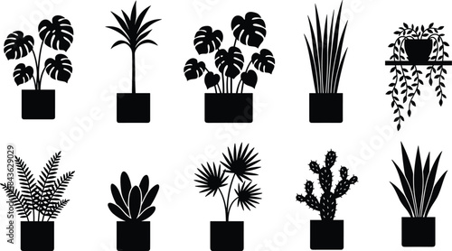 Collection of nine black silhouette vector icons featuring various popular potted houseplants including cactus, fern, Monstera, and succulents, representing interior decor, botany, and gardening.