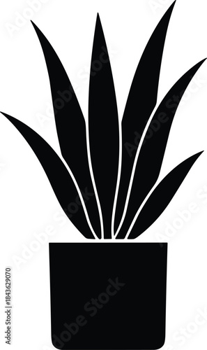 Simple black silhouette vector icon illustration of a Crassula Ovata or jade plant with thick, oval leaves in a square pot, representing succulent botany, interior decor, and home gardening.