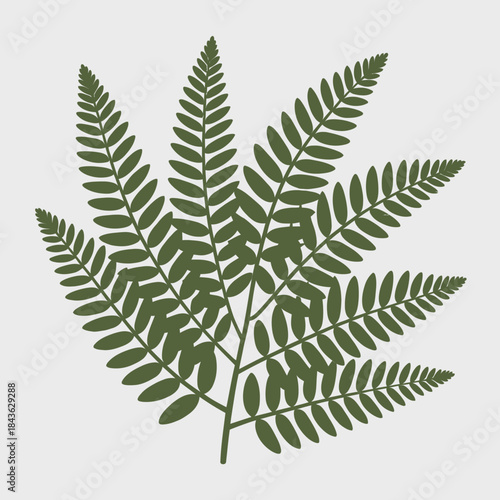 An intricate display of lush green fern leaves, presenting nature's beauty and the diversity of plant life, emphasizing the connection between humanity and the environment.