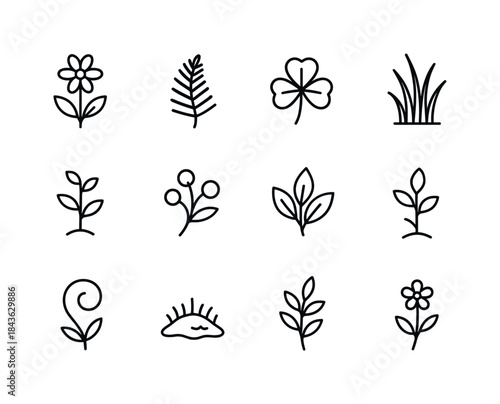 Glade Plant Icons. Glade plants. Line icon set of glade plants: