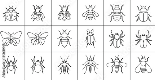 Insect outline icon set featuring butterfly, bee, ant, spider, beetle, and fly symbols in clean vector style
