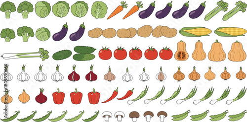Large flat vegetables illustration set with broccoli, carrots, eggplant, potato, tomato, onion, pepper, corn and mushrooms