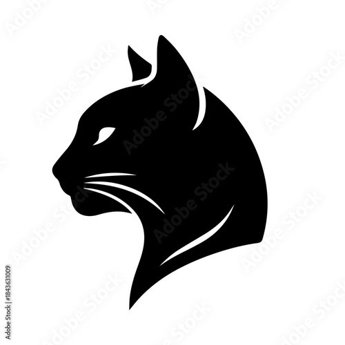  Black & white vector silhouette of a CAT on white background
