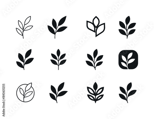 Nature Logo Variations. Nature vibe package design with flowers
