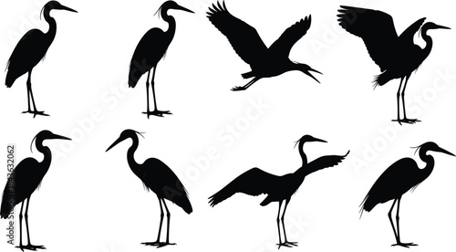Heron silhouette poses, flying and standing birds, black bird icons, posture reference, white background, wildlife illustration, bird anatomy, nature design