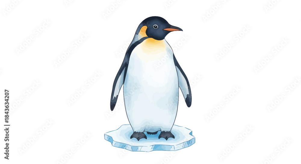 Fototapeta premium An emperor penguin stands on an ice floe