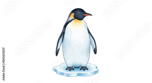 An emperor penguin stands on an ice floe