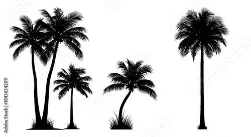 Black silhouette of various palm trees isolated on white background.