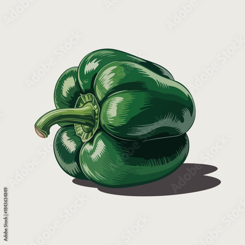 A detailed and vibrant illustration of a bell pepper, emphasizing its fresh and green appearance, perfect for showcasing healthy eating and vibrant ingredients.