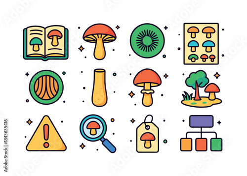 Mushroom Identification Icons. Mushroom identification. Colorful