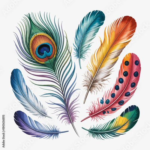 A stunning array of colorful feathers arranged artistically, symbolizing beauty, nature, and the richness of life, making for an impactful visual and artistic representation.