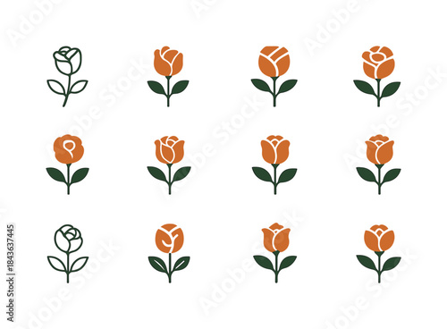 Summer Rose Logo Variations. Summer Garden and May Roses. Icon s