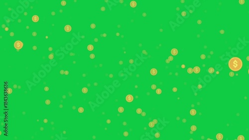 Falling coins or money golden rain motion background. Loop. Green screen, chromakey