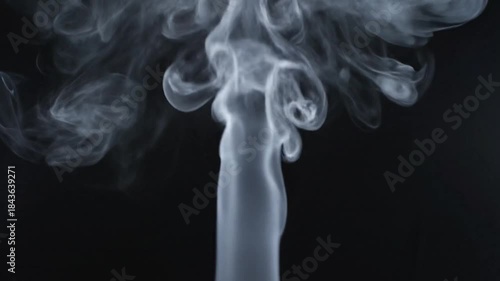 Wallpaper Mural Abstract smoke rising on a black background forming elegant patterns, a mesmerizing and artistic Torontodigital.ca