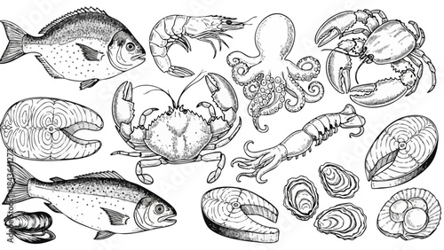 Hand-drawn Seafood Collection: Fish, Shellfish, and Crustaceans.