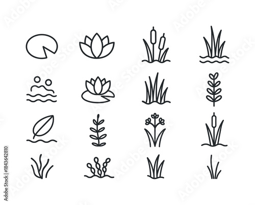 Pond Flora Icons. Pond Flora. Line icon set of Pond Flora: lily
