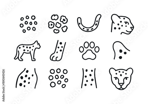 Leopard Pattern Icons. Leopard Patterns & Spots. Line icon set o