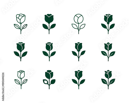 Summer Rose Logo Variations. Summer Garden and May Roses. Icon s