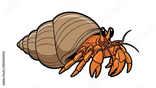 Cute Cartoon Illustration of an Orange Hermit Crab in a Seashell on White Background