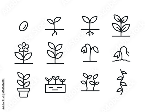 Plant Growth Icons. Plant growth stages. Line icon set of Plant