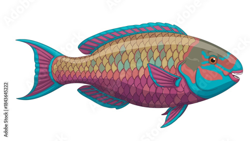 Vibrant Tropical Parrotfish Illustration on White Background Marine Life Vector Art