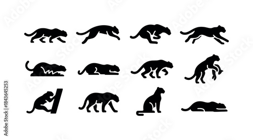 Leopard Hunting Icons. Leopard diet. Colorful isometric vector i