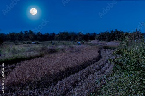 A bright full moon hangs over a harvested, dry rice paddy field at night in a rural area.