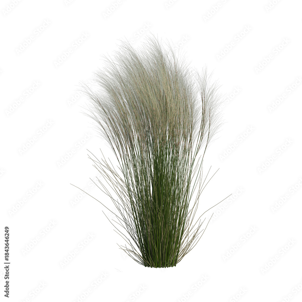Fototapeta premium Cut out green grass field transparent backgrounds rendering png file