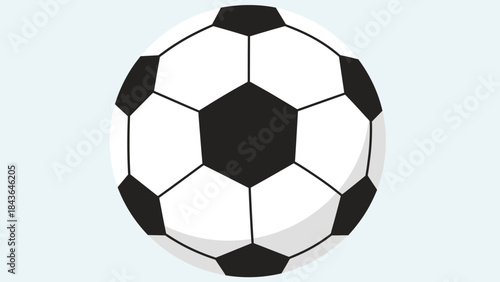 Soccer Ball: A close-up shot of a classic soccer ball, showcasing its iconic black and white pentagonal panels, the very emblem of the beautiful game.