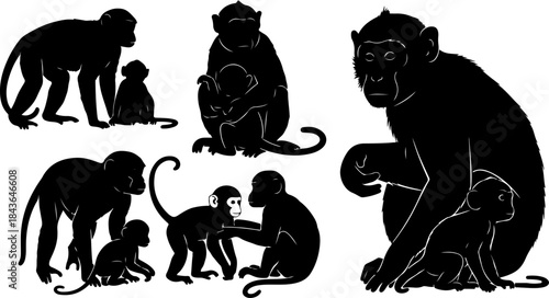 Monkey Silhouette Collection – Primate Poses Black Vector Set